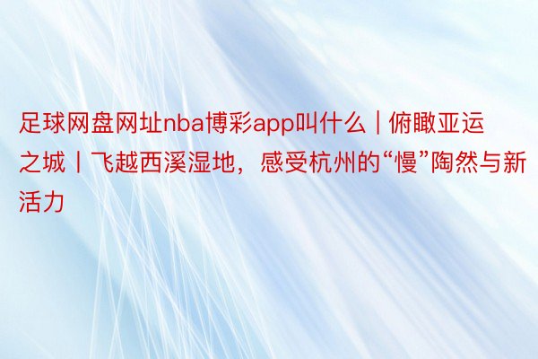 足球网盘网址nba博彩app叫什么 | 俯瞰亚运之城丨飞越西溪湿地，感受杭州的“慢”陶然与新活力