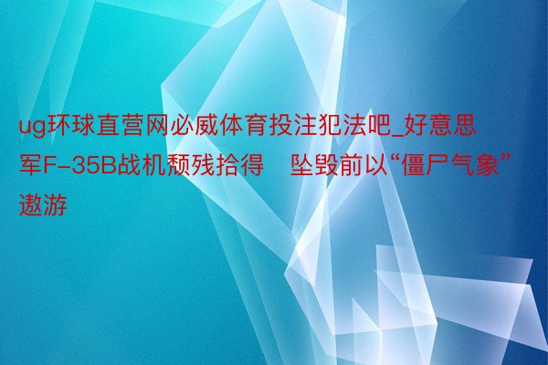 ug环球直营网必威体育投注犯法吧_好意思军F-35B战机颓残拾得　坠毁前以“僵尸气象”遨游