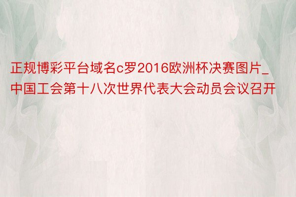 正规博彩平台域名c罗2016欧洲杯决赛图片_中国工会第十八次世界代表大会动员会议召开